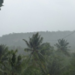 Sturm, Taifunausläufer Paolo 3